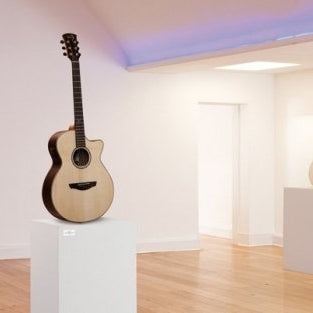 Faith Guitar | Models Comparison & Guides - Gsus4