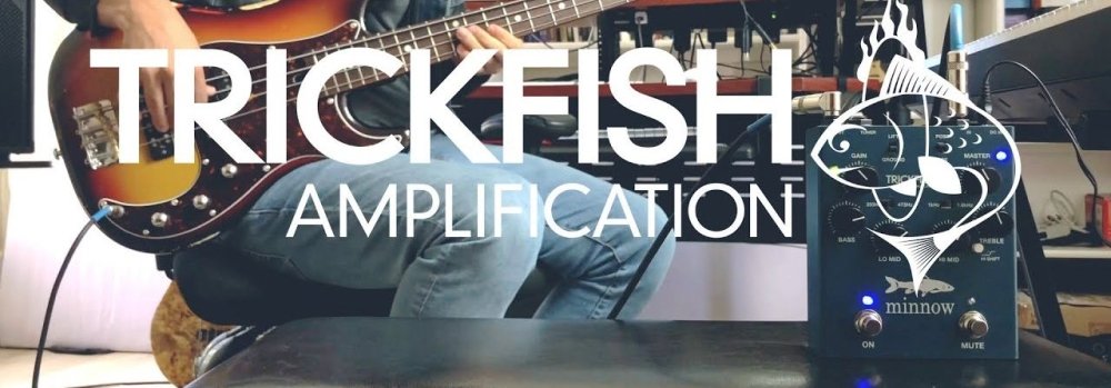 Trickfish Amplification - Gsus4