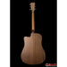 Sigma DMC-STE+ Dreadnought Cutway with Electronics