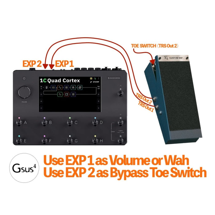 expression pedal toe switch A3 Stompbox | Quad Cortex Dual Expression Pedal