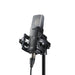 AKG | C114 | Large - Diaphram FET Condenser Microphone w/ Multi - Pattern (AKG-C114) - Gsus4