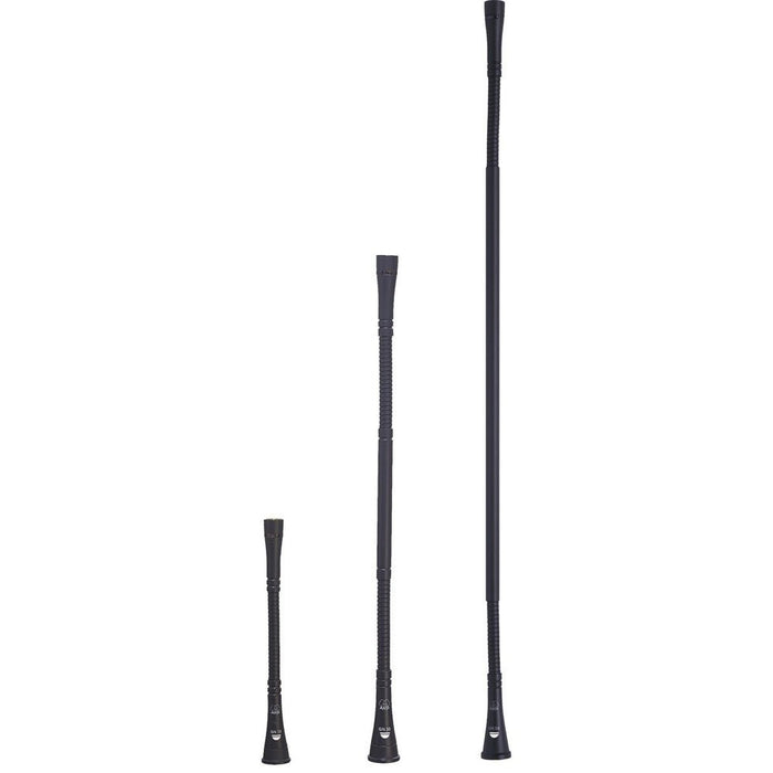 AKG GN30 CS 30cm 12 Inch High performance modular gooseneck module DAM Series (AKG-2765H00270) - Gsus4