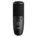 AKG P120 General Purpose Recording Microphone (AKG-3101H00400) - Gsus4
