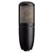 AKG P420 DualCapsule True Condenser Microphone (AKG-3101H00430) - Gsus4