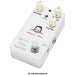 ANIMALS PEDAL Bath Time Reverb MKII (AP-BTR) - Gsus4