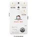 ANIMALS PEDAL Bath Time Reverb MKII (AP-BTR) - Gsus4