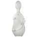 BAM CABOURG Hightech Slim Cello Case - 3 Tones Of Grey / Silver Version (CAB1005XLS) - Gsus4