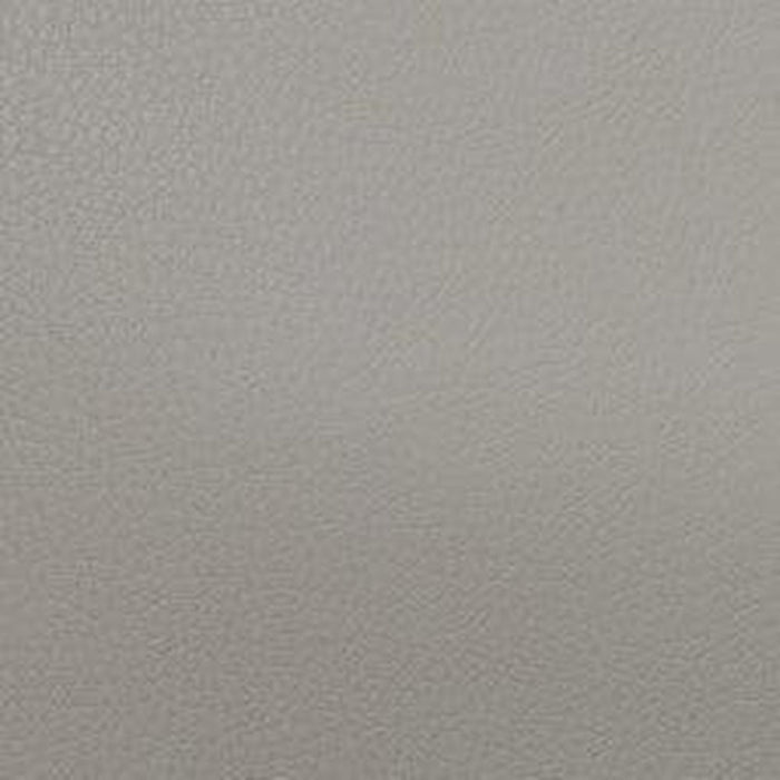 BAM L'ETOILE Hightech 4 French Bows Case for Double Bass - Mud Grey (ET7002XLG) - Gsus4