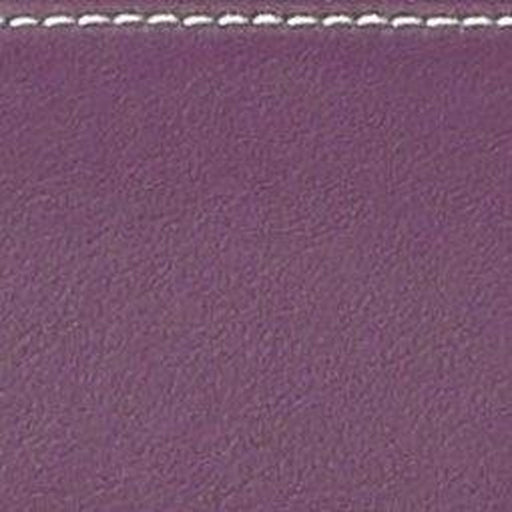 BAM L'ETOILE Hightech 4 French Bows Case for Double Bass - Violet (ET7002XLVT) - Gsus4