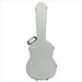 BAM L'ETOILE Hightech Classical Guitar Case - Pistachio (ET8002XLP) - Gsus4