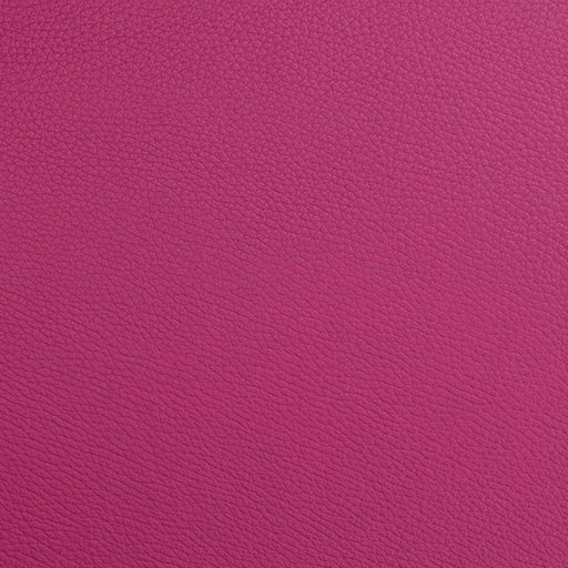 BAM L'ETOILE Hightech Compact Oboe Case - Raspberry Red (ET3129XLRR) - Gsus4