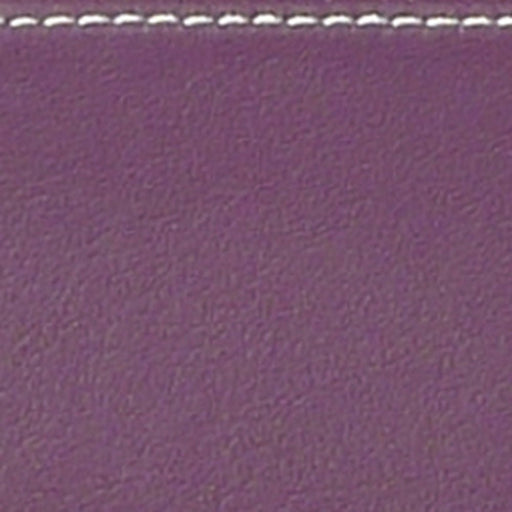 BAM L'ETOILE Hightech Slim Violin Case - Violet (ET2000XLVT) - Gsus4