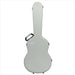BAM L'ETOILE ROYAL Hightech Classical Guitar Case - Pistachio (ETRO8002XLP) - Gsus4