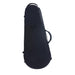 BAM SIGNATURE Stylus Cont. Viola Case - Black (SIGN5101SN) - Gsus4