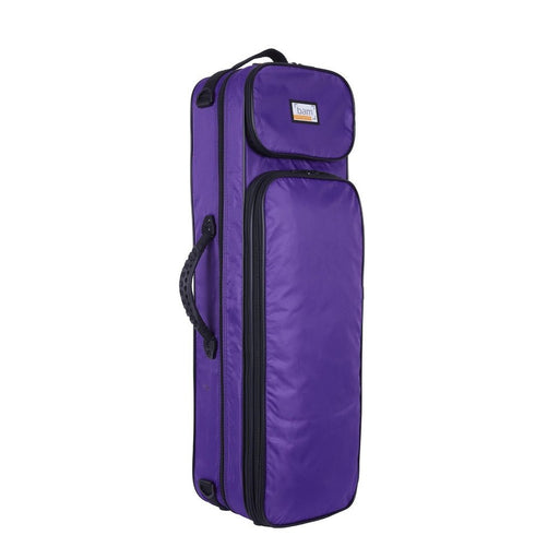 BAM YOUNGSTER 3/4 - 1/2 Oblong Violin Case - Violet (YO2003SVT) - Gsus4