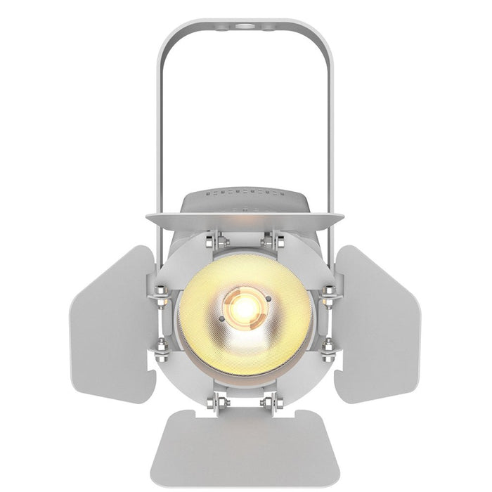 Chauvet DJ EVET - F20X LED Accent Light – White (EVETF-20XW) - Gsus4