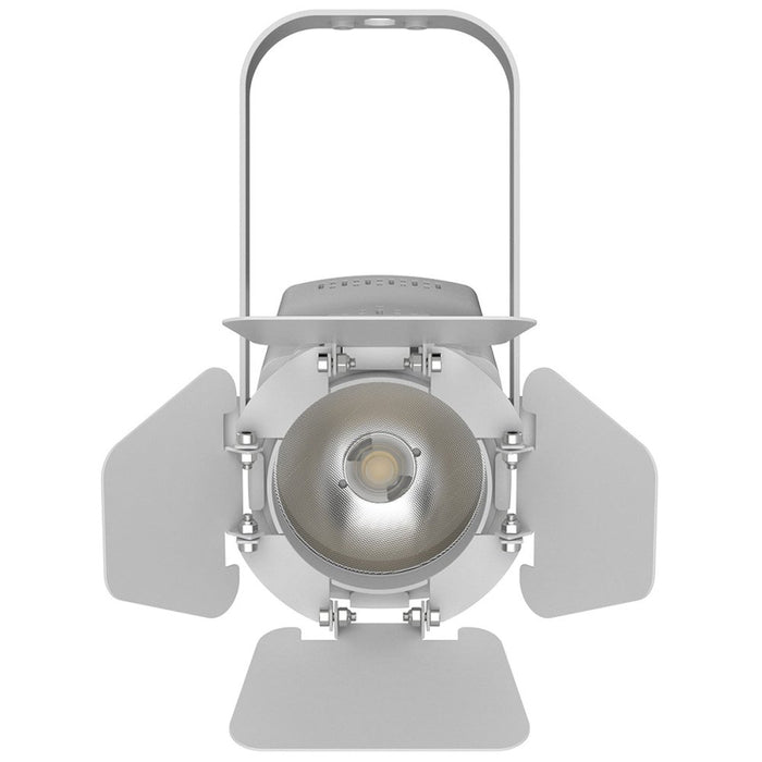 Chauvet DJ EVET - F20X LED Accent Light – White (EVETF-20XW) - Gsus4