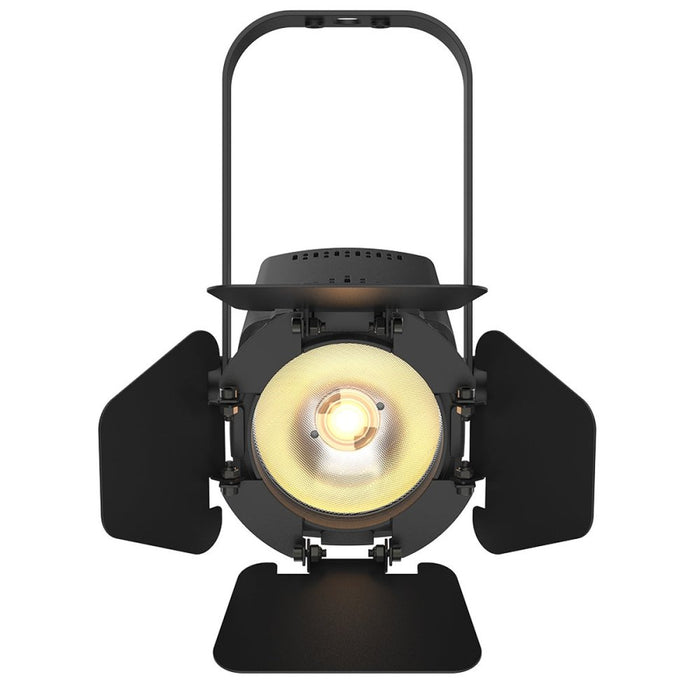Chauvet DJ EVETF - 20X LED Accent Light (EVETF-20X) - Gsus4