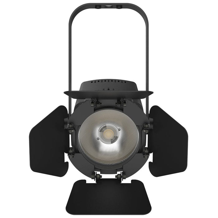 Chauvet DJ EVETF - 20X LED Accent Light (EVETF-20X) - Gsus4