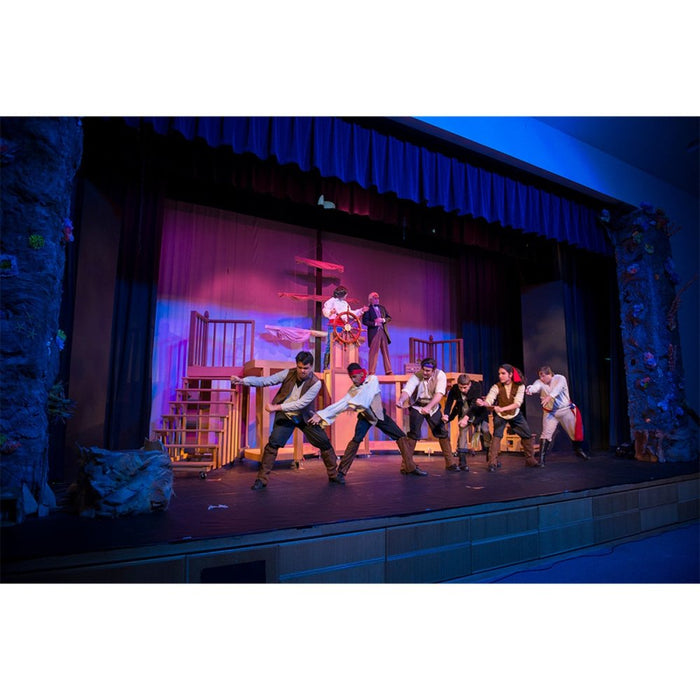 Chauvet DJ FollowSpot 200ST LED FollowSpot (FOLLOWSPOT200ST) - Gsus4