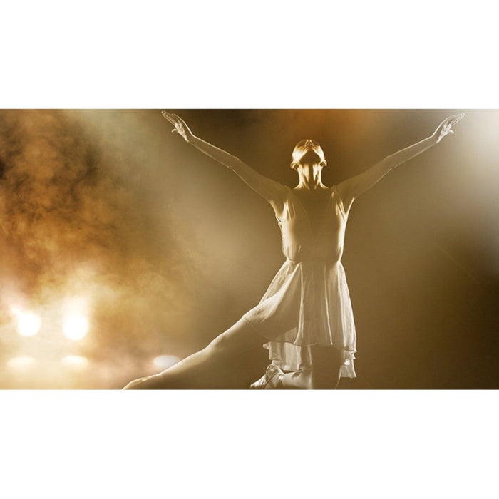 Chauvet DJ SlimPAR PRO W USB LED Parcan White (SLIMPARPRO-WUSBWH) - Gsus4