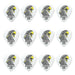 Clayton Acetal Eagle Sharp Teardrop Guitar Picks (0.80mm) - 12pk (CLASAST80) - Gsus4