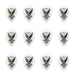 Clayton Acetal Eagle Small Teardrop Guitar Picks (1.00mm) - 12pk (CLAST100) - Gsus4