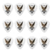 Clayton Acetal Eagle Standard Guitar Picks (1.00mm) - 12pk (CLAS100) - Gsus4