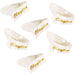 Clayton Celluloid Medium Thumb Picks in Pearl Finish - 6pk (CLACTBP6) - Gsus4