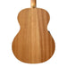 Cole Clark AN2E - Bunya Maple