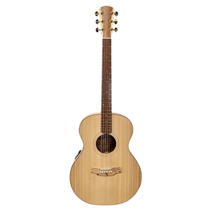 Cole Clark AN2E - Bunya Maple
