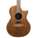 Cole Clark AN2EC-BLBL Humbucker - All Blackwood
