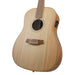 Cole Clark FL2E LH 12-String Acoustic/Electric Guitar - Bunya Top Blackwood Back & Sides