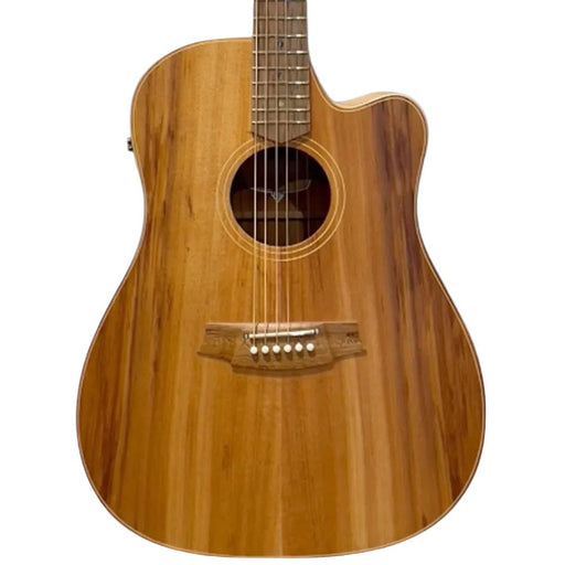 Cole Clark FL2EC Acoustic-Electric Guitar (All Blackwood) FL2EC-BLBL-AE (CCFL2EC-BLBL-AE) - Gsus4