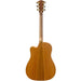 Cole Clark FL2EC Acoustic-Electric Guitar (All Blackwood) FL2EC-BLBL-AE (CCFL2EC-BLBL-AE) - Gsus4