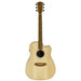 Cole Clark FL2EC Acoustic-Electric Guitar (Bunya Blackwood) FL2EC-BB-AE (CCFL2EC-BB-AE) - Gsus4