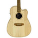 Cole Clark FL2EC Acoustic-Electric Guitar (Bunya Blackwood) FL2EC-BB-AE (CCFL2EC-BB-AE) - Gsus4
