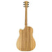 Cole Clark FL2EC Acoustic-Electric Guitar (Bunya Blackwood) FL2EC-BB-AE (CCFL2EC-BB-AE) - Gsus4