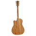 Cole Clark FL2EC Bunya Maple