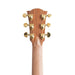 Cole Clark FL2EC All Blackwood HB Left Handed Acoustic/Electric Guitar