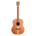 Cole Clark LL2E-BLBL Little Lady 2E Acoustic Guitar - All Blackwood