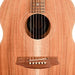 Cole Clark LL2E-BLBL Little Lady 2E Acoustic Guitar - All Blackwood
