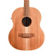 Cole Clark LL2E-BLBL Little Lady 2E Acoustic Guitar - All Blackwood