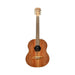 Cole Clark Little Lady 2 Mini Travel Acoustic/Electric Guitar - Redwood/Blackwood