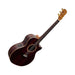 Cole Clark Recording Grand Auditorium Ebony Fingerboard - All Rosewood