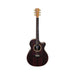 Cole Clark Recording Grand Auditorium Ebony Fingerboard - All Rosewood