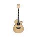 Cole Clark Recording AN3EC Adirondack Spruce Top w/Rosewood Back & Sides Acoustic-Electric Guitar