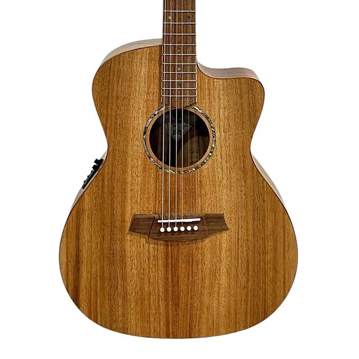 Cole Clark SAN1EC-BLBL Studio Grand Auditorium All Blackwood