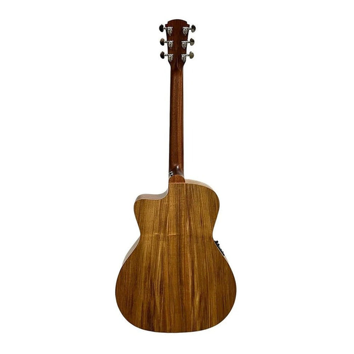 Cole Clark SAN1EC-BLBL Studio Grand Auditorium All Blackwood