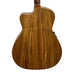 Cole Clark SAN1EC-BLBL Studio Grand Auditorium All Blackwood